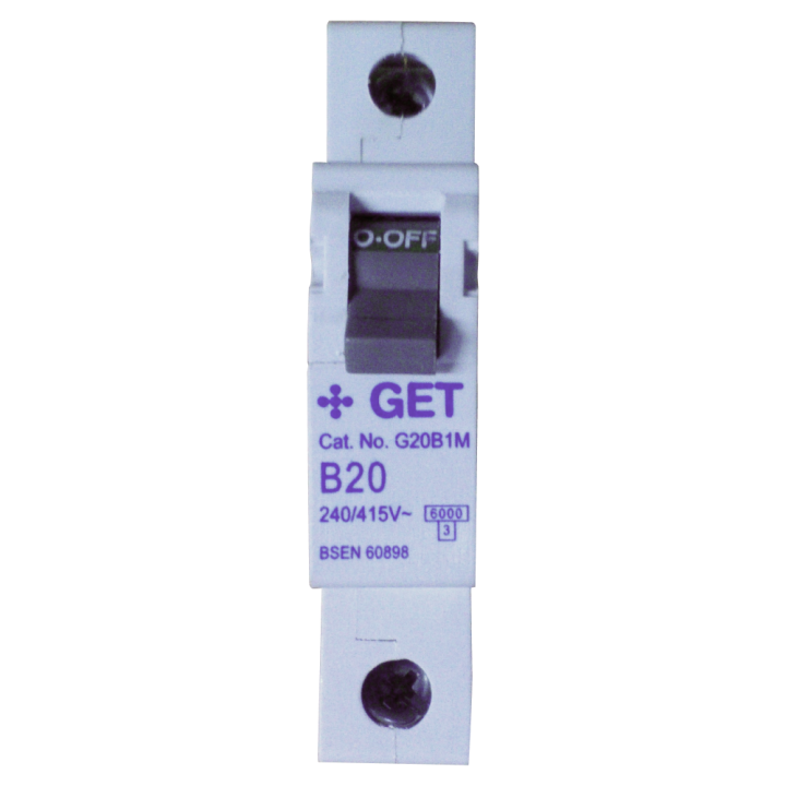 GETG20B