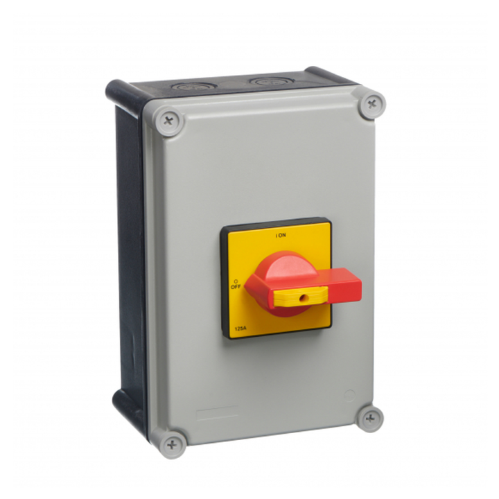 LB1004P